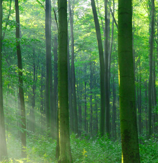 c7c7娱涝旖台官网入口(中国)官方网站