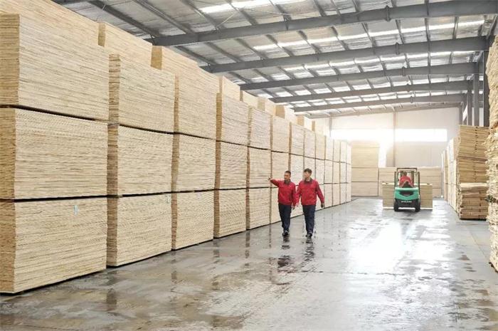 c7c7娱涝旖台官网入口(中国)官方网站