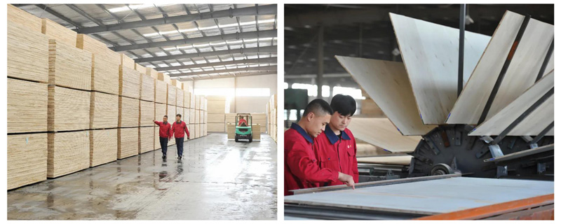 c7c7娱涝旖台官网入口(中国)官方网站