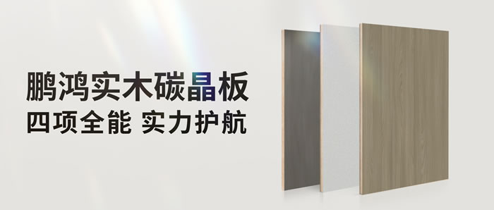 四项全能碳晶板，解锁家装超能力