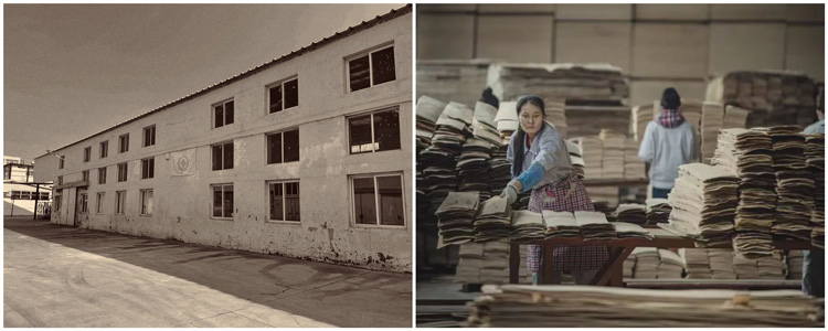 c7c7娱涝旖台官网入口(中国)官方网站