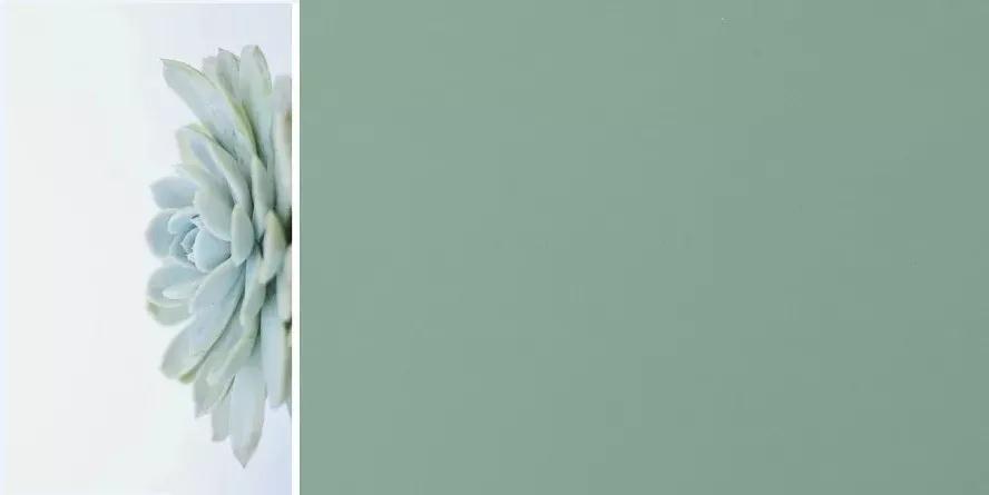 c7c7娱涝旖台官网入口(中国)官方网站