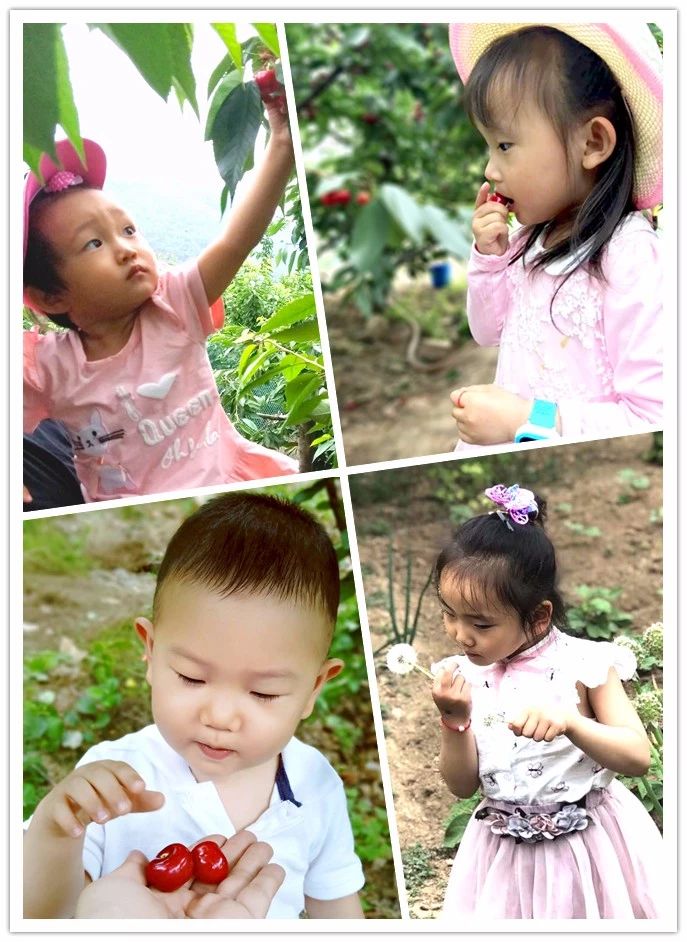 c7c7娱涝旖台官网入口(中国)官方网站