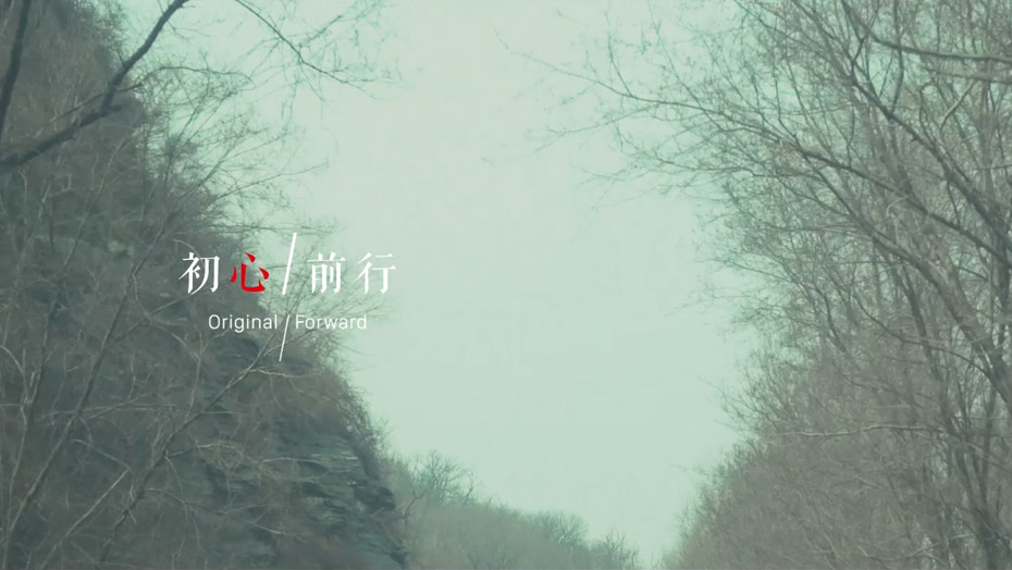 c7c7娱涝旖台官网入口(中国)官方网站