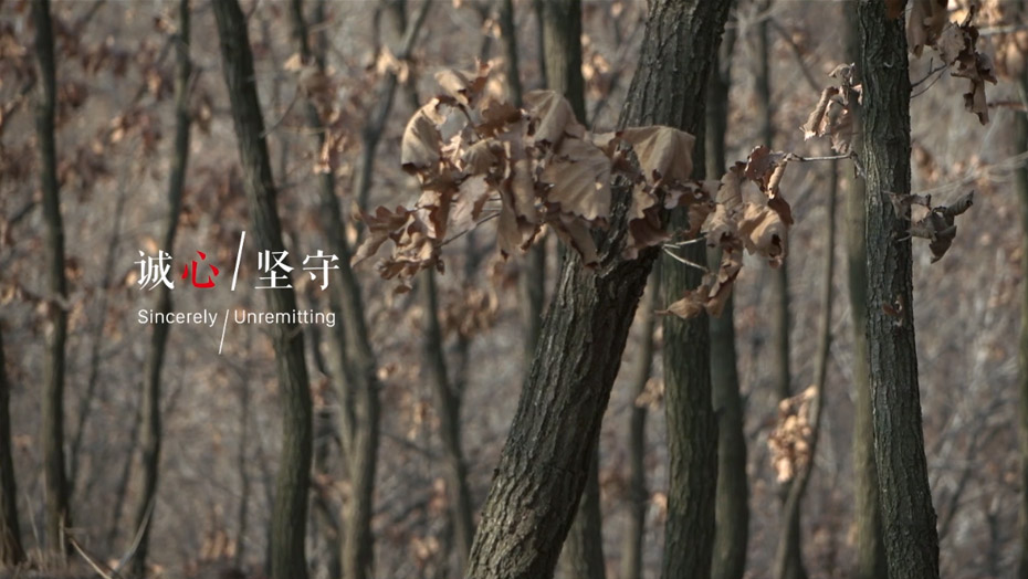 c7c7娱涝旖台官网入口(中国)官方网站